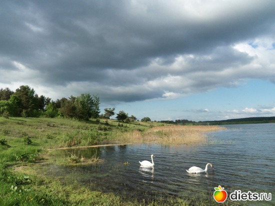 17 фото: природа