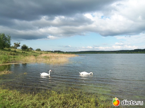 18 фото: природа