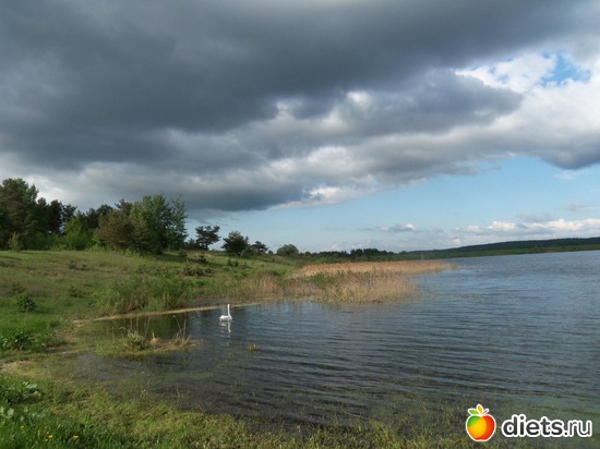 20 фото: природа