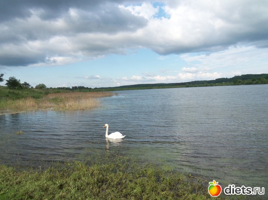 21 ����: �������