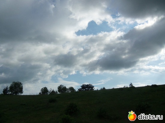 22 ����: �������