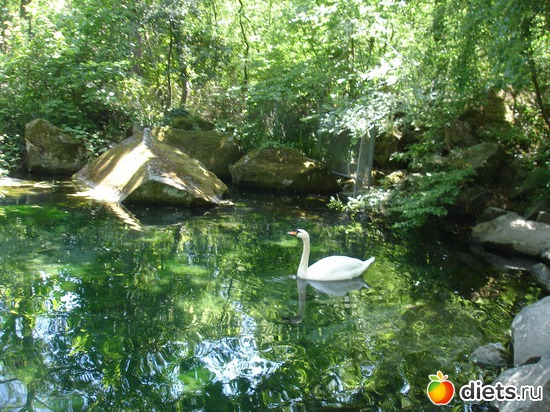 17 ����: ������