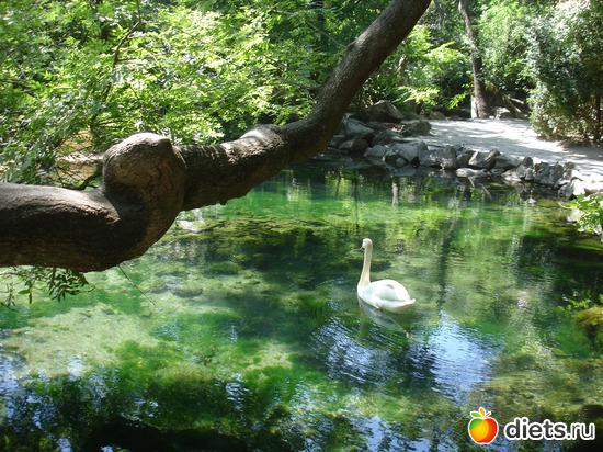 ���������� ����� � ������������ ������, ������: ������