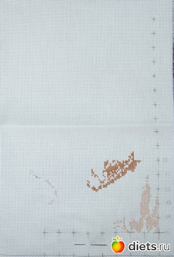 1 ����: �������. �������.