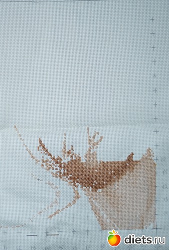 4 ����: �������. �������.