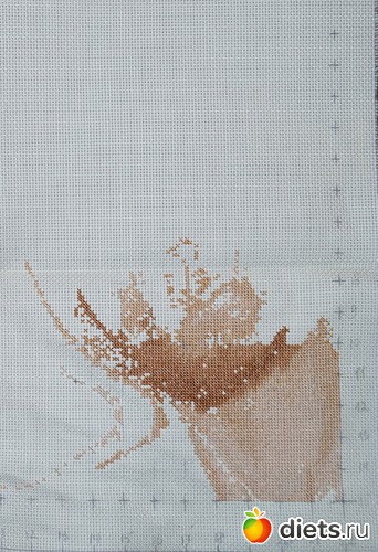 5 ����: �������. �������.