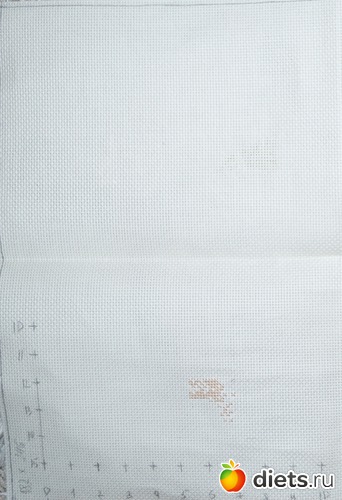 13 ����: �������. �������.