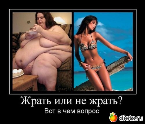 ����� ����)) ...�� ������ ����� ���� �� �������