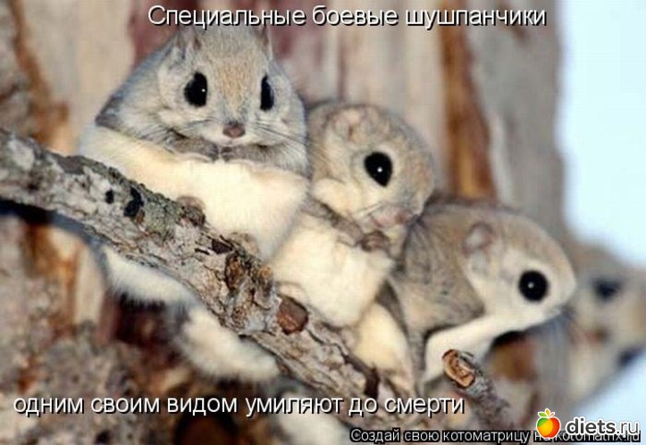 9 ����: �������