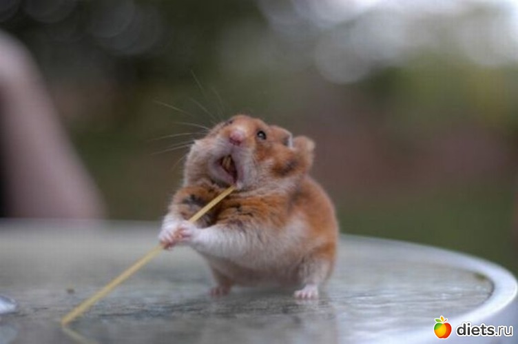 11 ����: �������