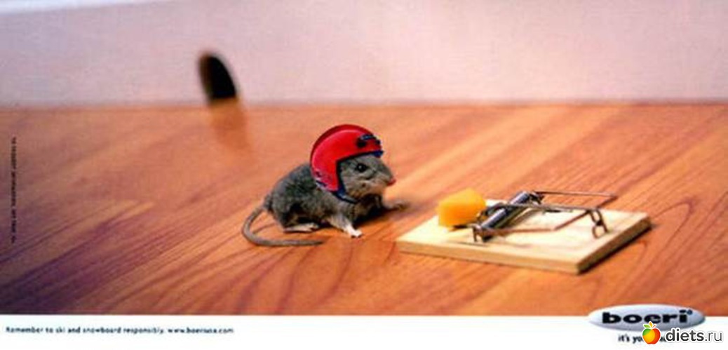 13 ����: �������