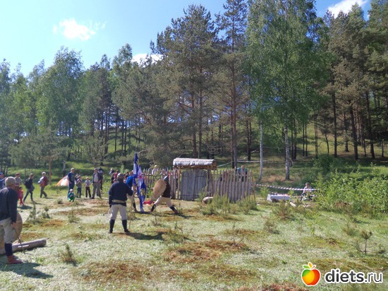 8 ����: ��������� ����������� 2013