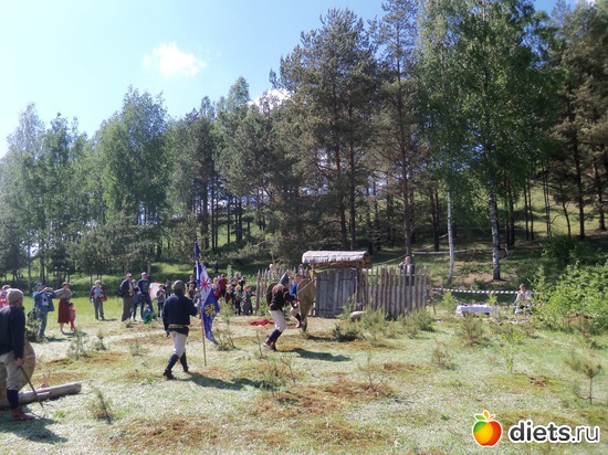 11 ����: ��������� ����������� 2013