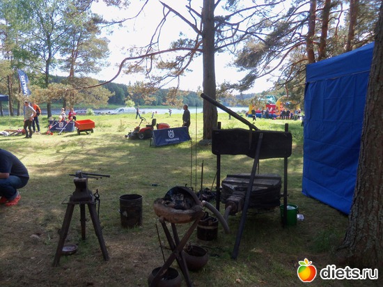 17 ����: ��������� ����������� 2013