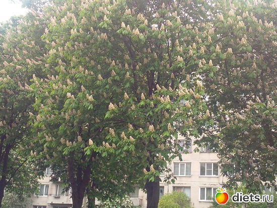 41 фото: разное