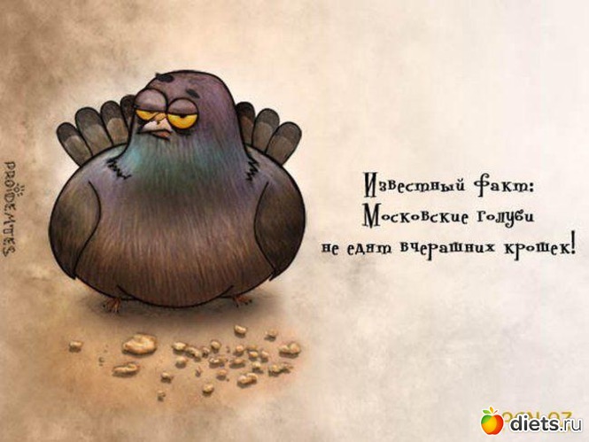 3 ����: ������� ��������