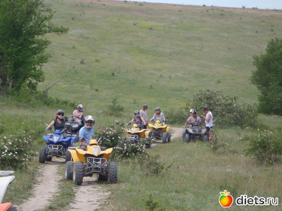 16 ����: ����������