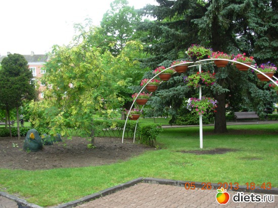 5 фото: Мой город