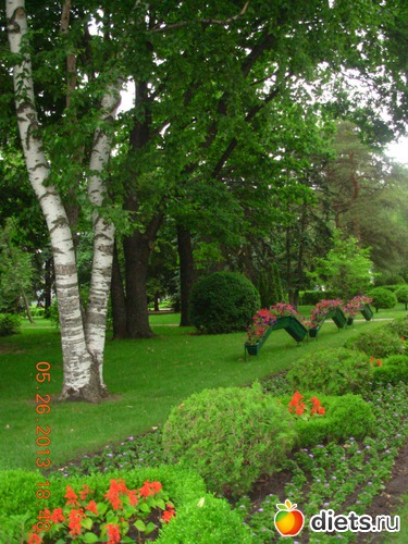 8 фото: Мой город