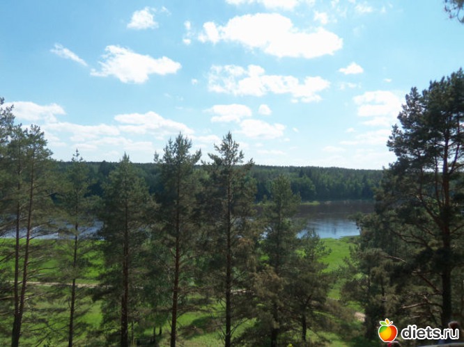 1 фото: Вышка Васаргелишкю 26.05.2013.