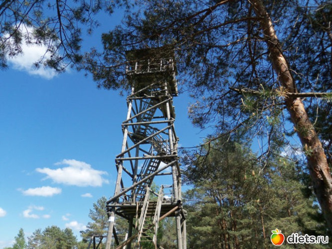 2 фото: Вышка Васаргелишкю 26.05.2013.