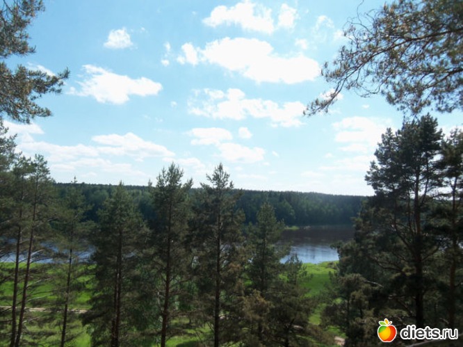 4 фото: Вышка Васаргелишкю 26.05.2013.