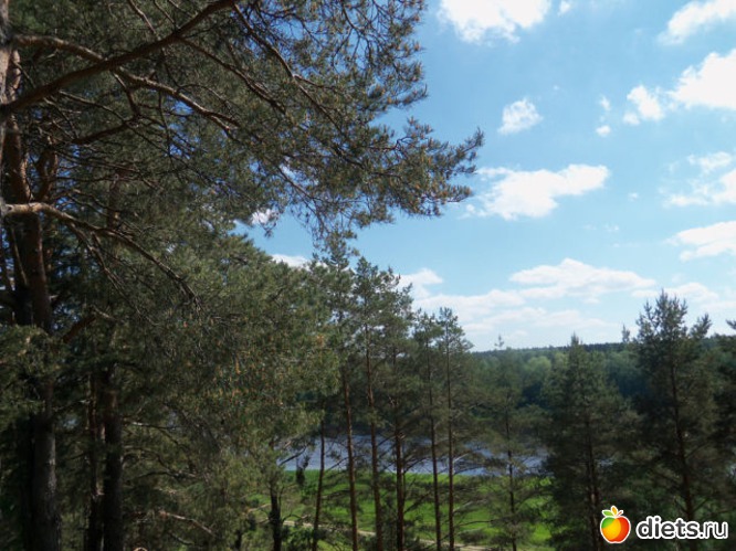 5 фото: Вышка Васаргелишкю 26.05.2013.