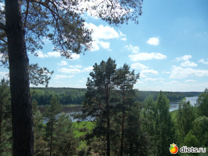 10 фото: Вышка Васаргелишкю 26.05.2013.