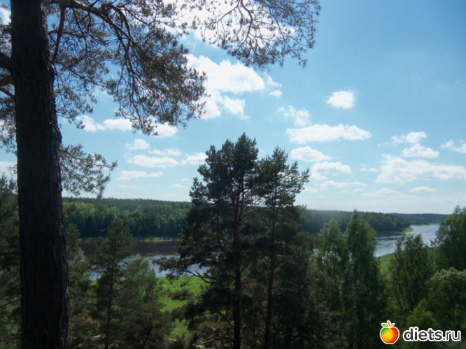 11 фото: Вышка Васаргелишкю 26.05.2013.