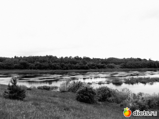 1 фото: Просто выехали на природу 28.05.2013.