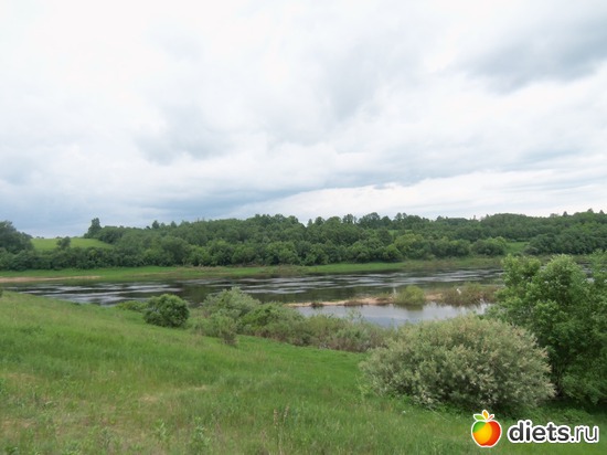 7 фото: Просто выехали на природу 28.05.2013.