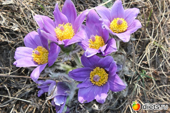 1 ����: ������������� ����