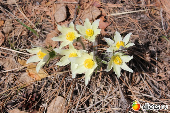 4 ����: ������������� ����