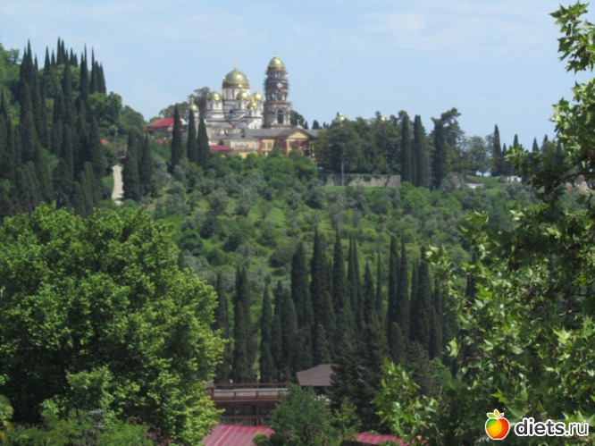 25 ����: �������