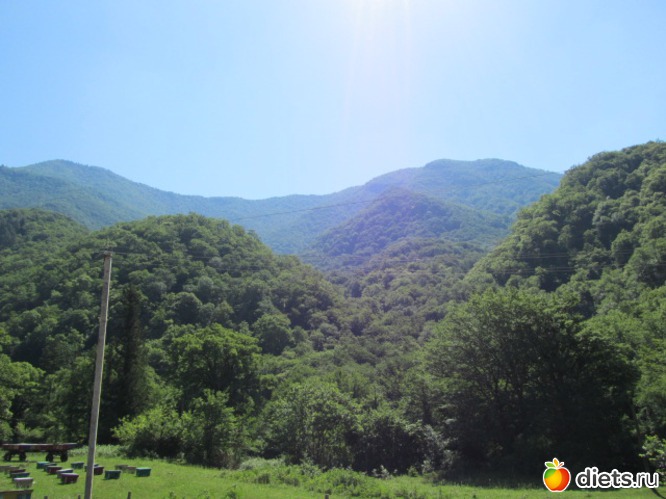 30 ����: �������