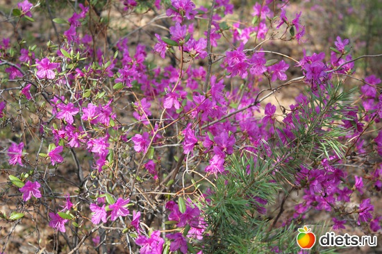 5 ����: ������������� ����