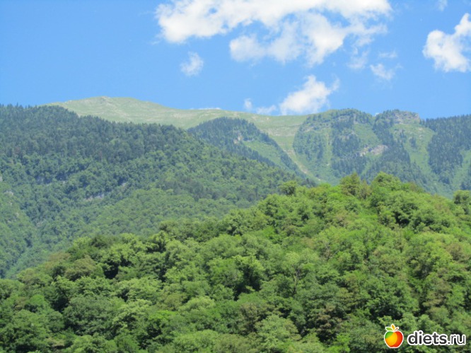 35 ����: �������