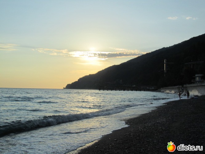 ������� � �����, ������: �������