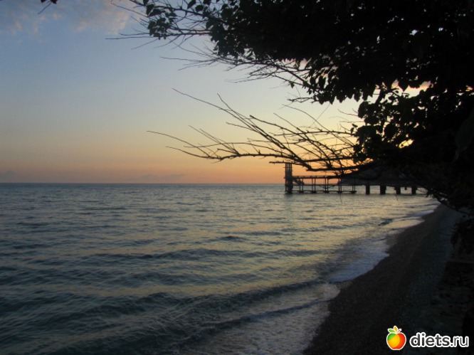 43 ����: �������