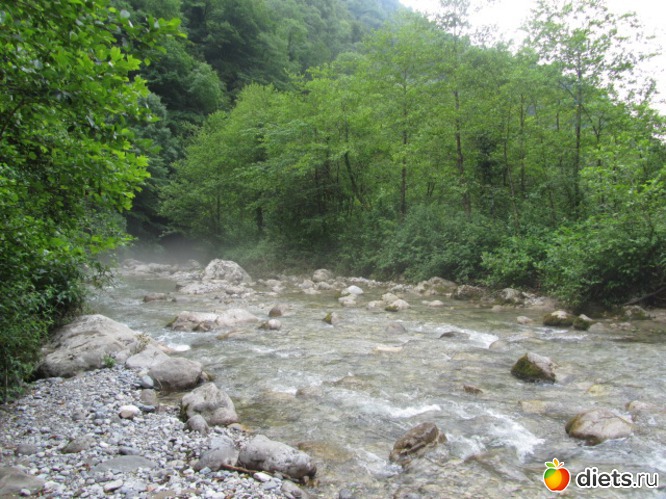 45 ����: �������