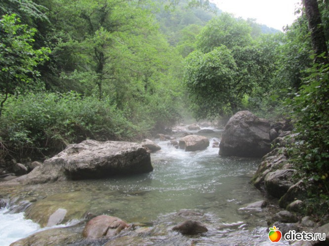 ����������� ����� ������ �����), ������: �������