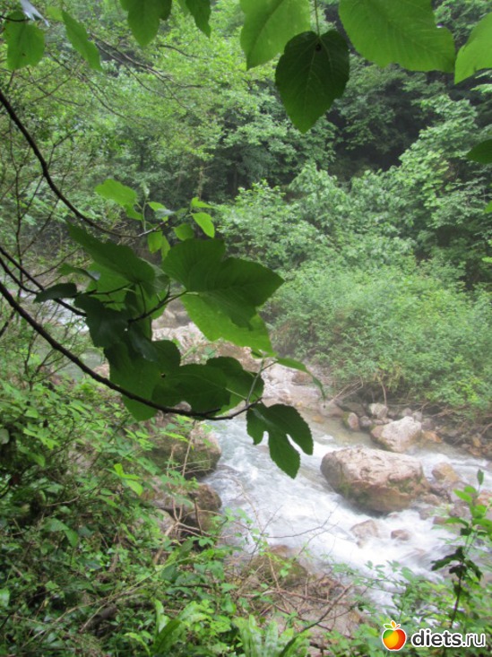 49 ����: �������