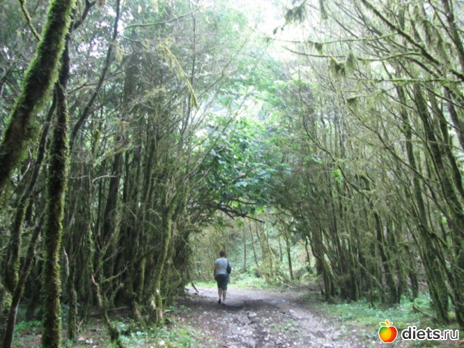 51 ����: �������