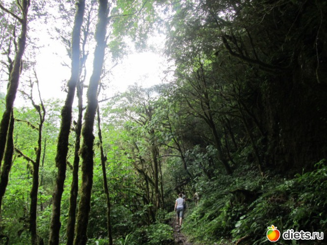 �������� ��������)  ������� �������� )��� �� ��� �� ����� ���� �������������  ������� ����� 3 �����), ������: �������