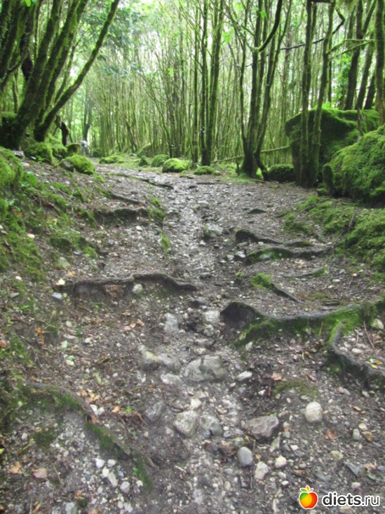 53 ����: �������