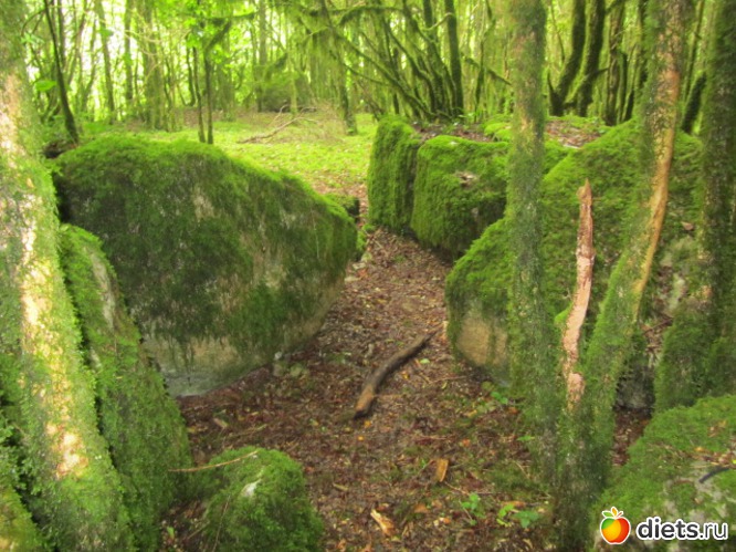 �� ��������� ��� � �� �����) ���������  �����) ������ ���������), ������: �������