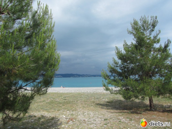 ������� ), ������: �������