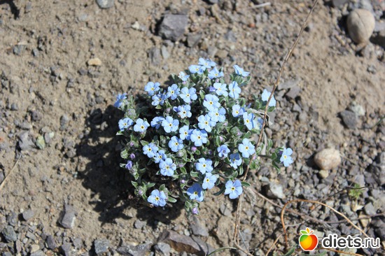 6 ����: ������������� ����