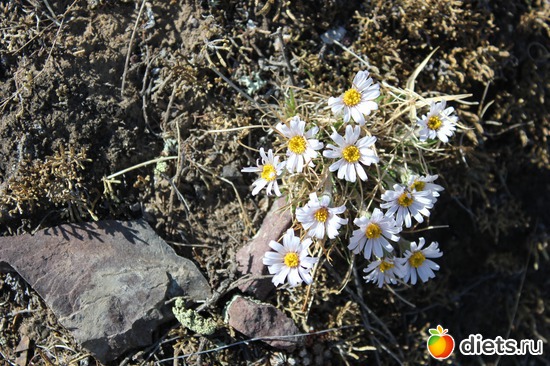 7 ����: ������������� ����