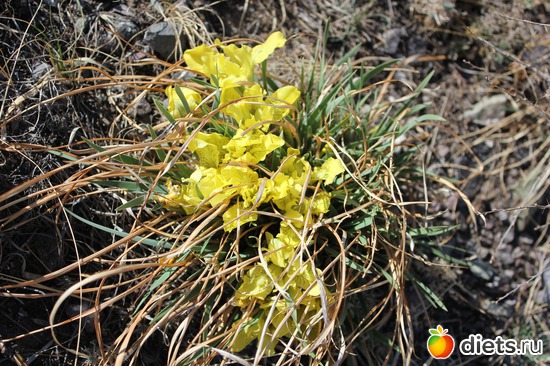 8 ����: ������������� ����